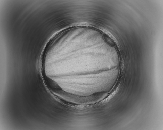 X0000093480989200711091623