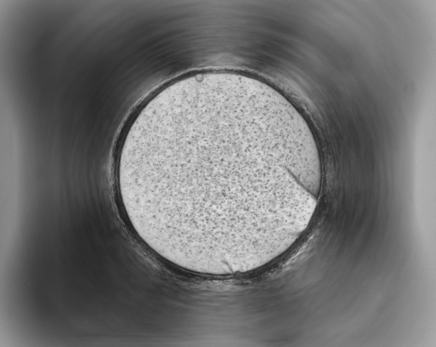 X0000093480990200711091623