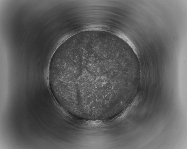 X0000093480994200711091623