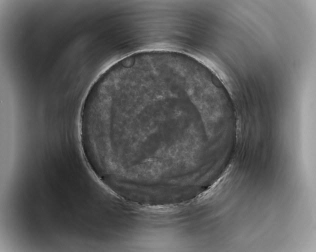 X0000093480998200711091623