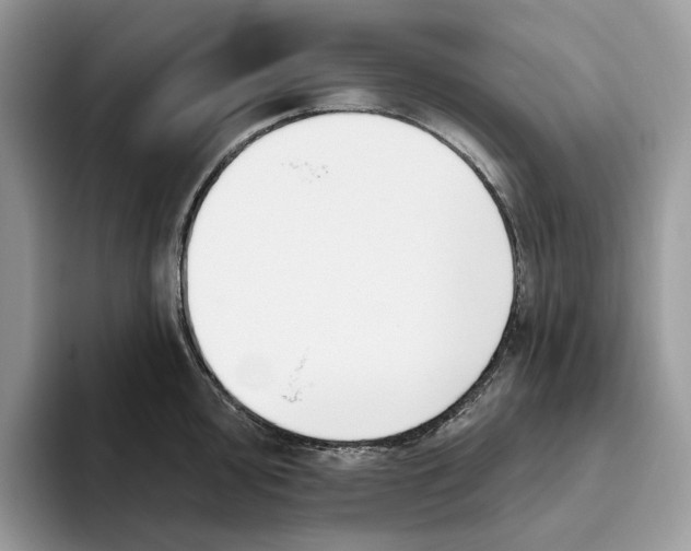 X0000093481000200711091623