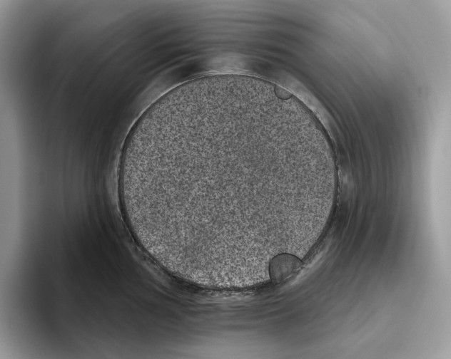 X0000093481002200711091623