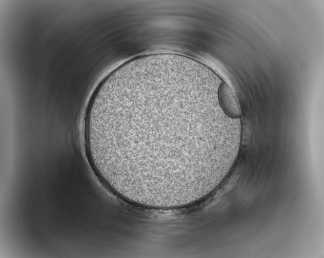 X0000093481003200711091623