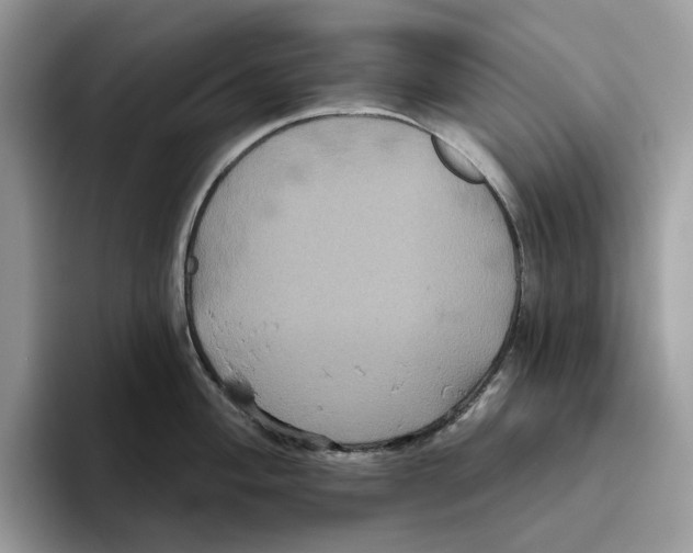 X0000093481004200711091623