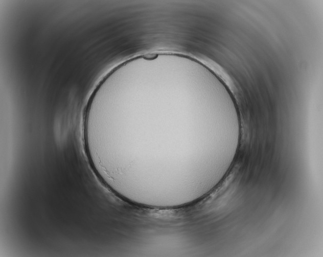 X0000093481006200711091623