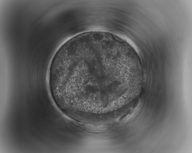 X0000093481007200711091623
