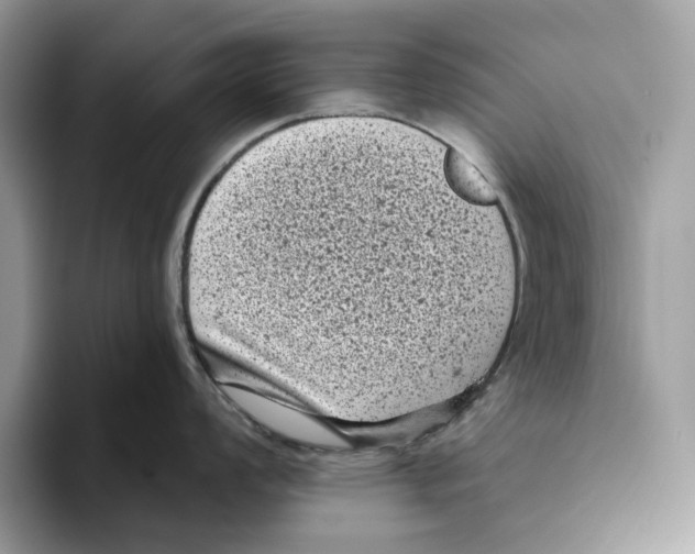 X0000093481008200711091623