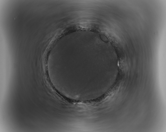 X0000093481009200711091622