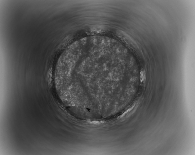 X0000093481011200711091622