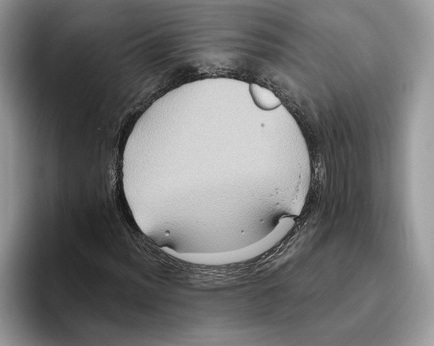 X0000093481012200711091622