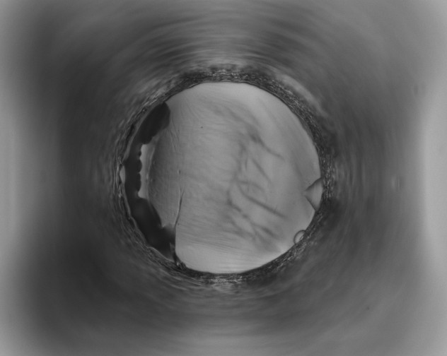 X0000093481013200711091622
