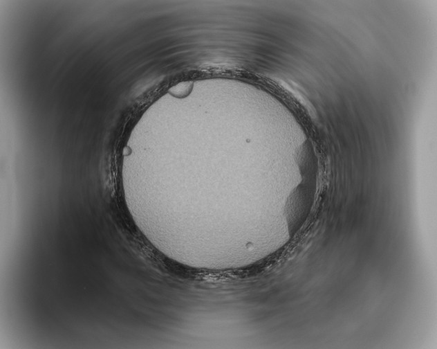 X0000093481015200711091622