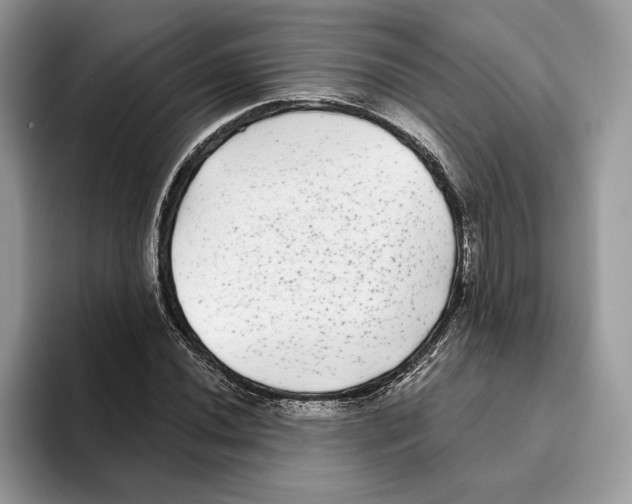 X0000093481020200711091622