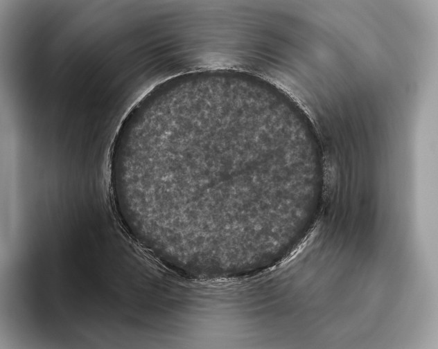 X0000093481023200711091622