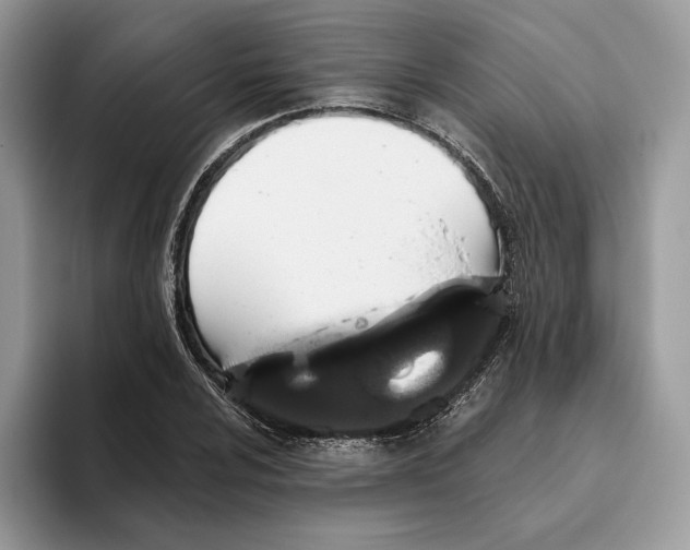 X0000093481024200711091622