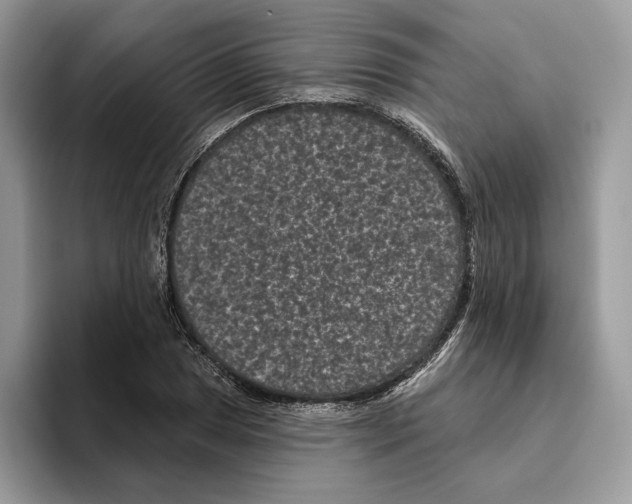 X0000093481025200711091622