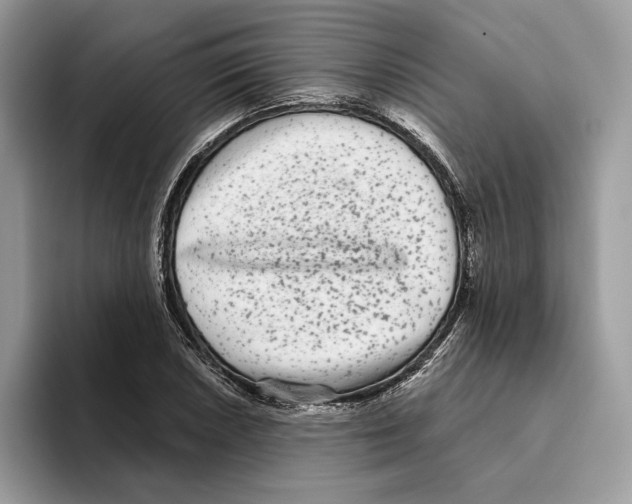 X0000093481026200711091622