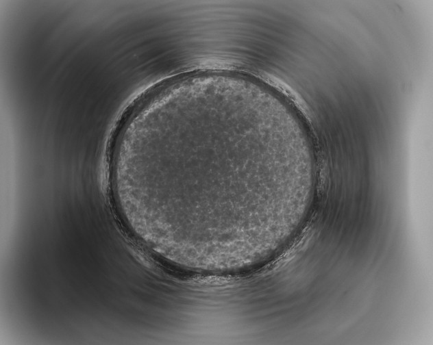 X0000093481027200711091622
