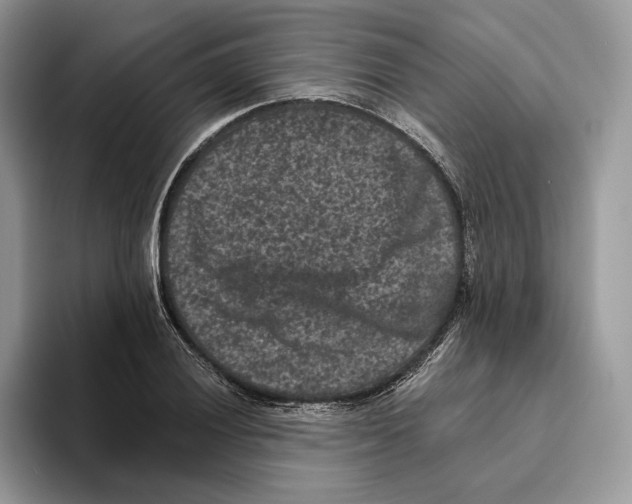 X0000093481028200711091622