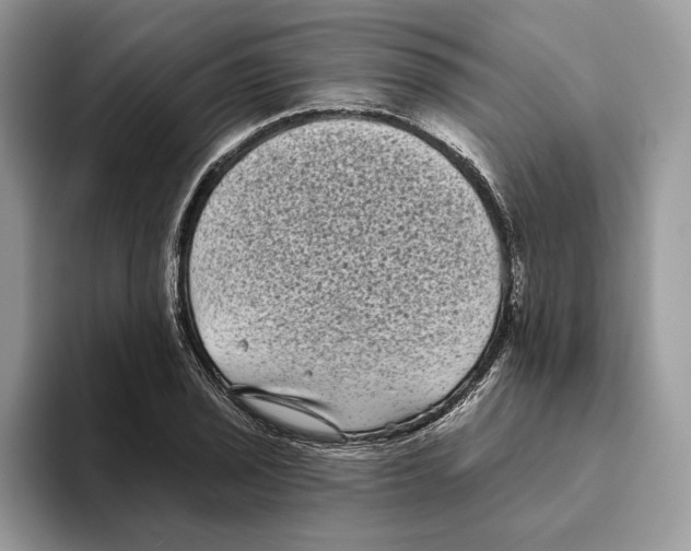 X0000093481029200711091622