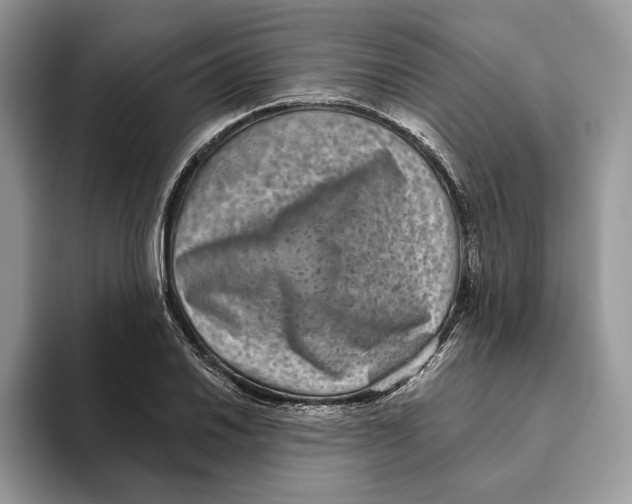 X0000093481030200711091622