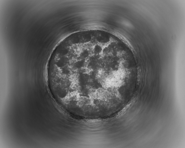 X0000093481031200711091622