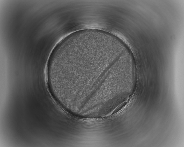 X0000093481032200711091622