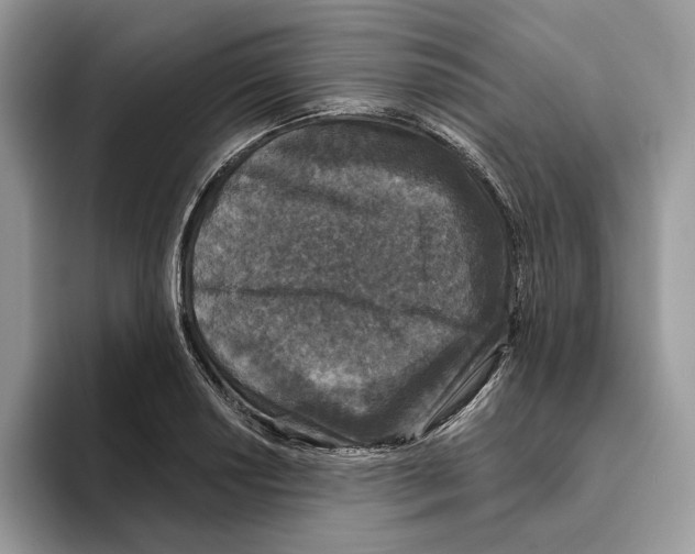 X0000093481034200711091622