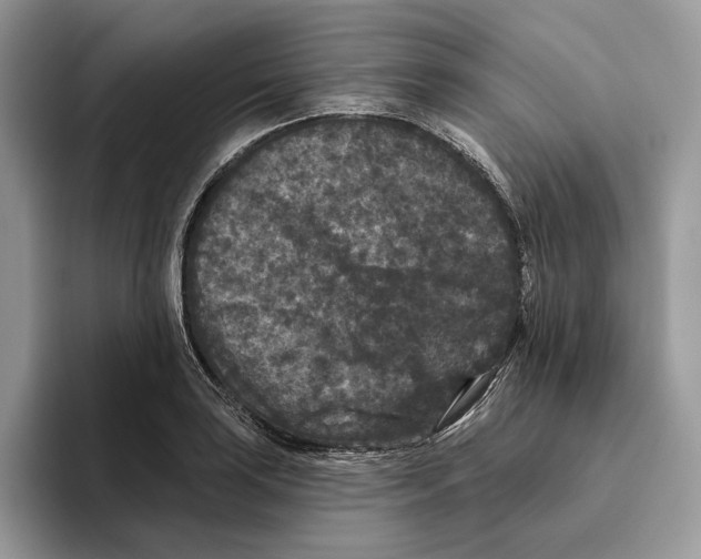 X0000093481035200711091622