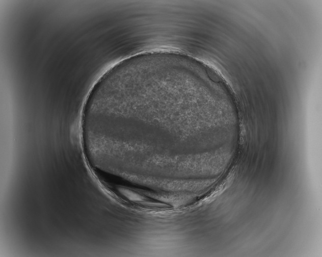 X0000093481038200711091622