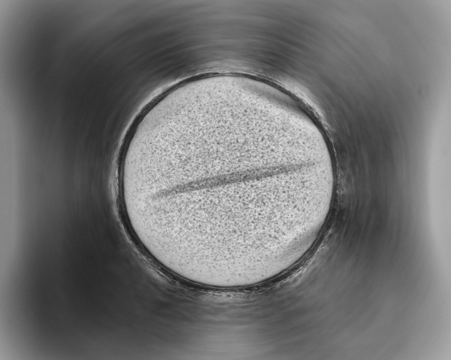 X0000093481040200711091622