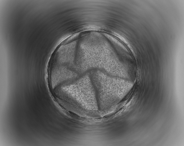 X0000093481042200711091622