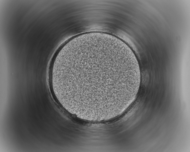 X0000093481043200711091622