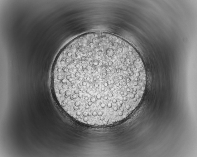 X0000093481044200711091622