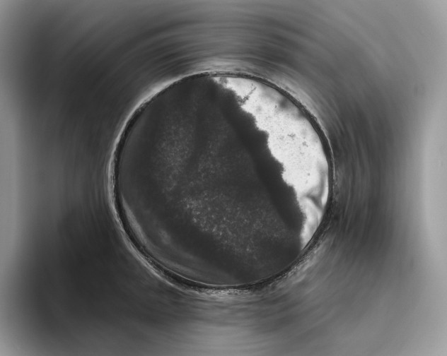 X0000093481045200711091622