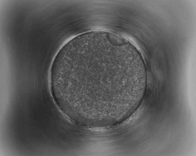 X0000093481048200711091623