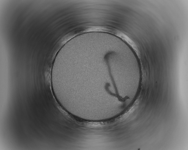 X0000093481049200711091623
