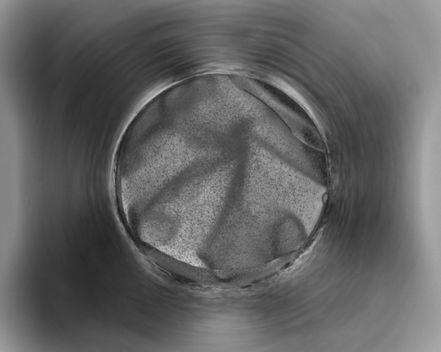 X0000093481050200711091623