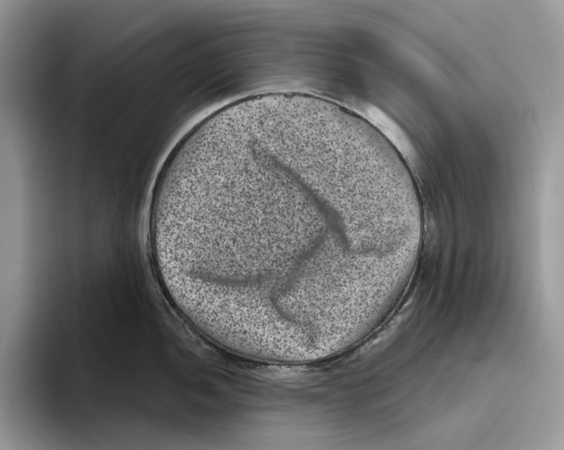 X0000093481052200711091623