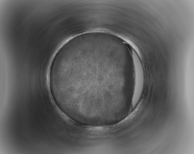 X0000093481054200711091623