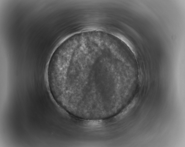X0000093481055200711091623