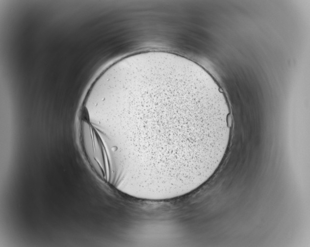 X0000093481056200711091623