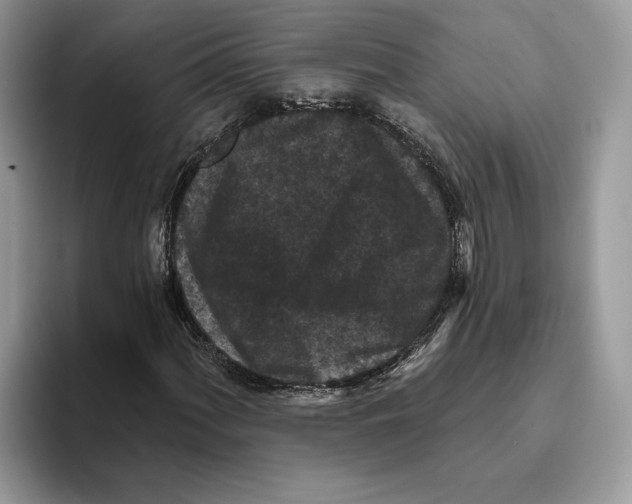 X0000093481060200711091622