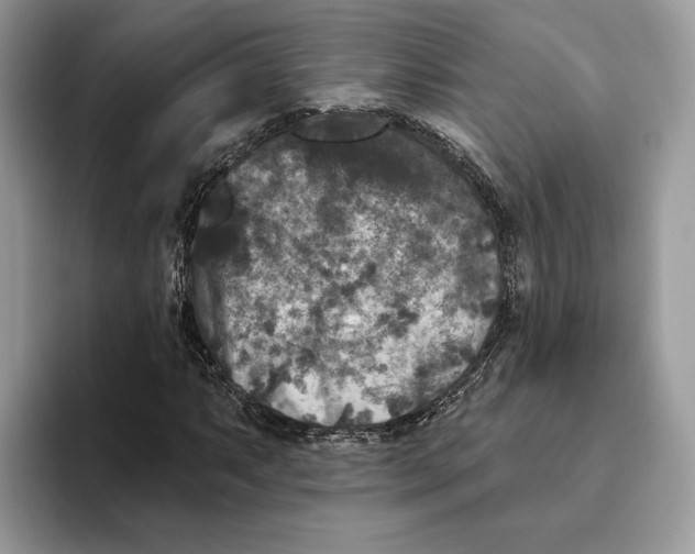 X0000093481063200711091622