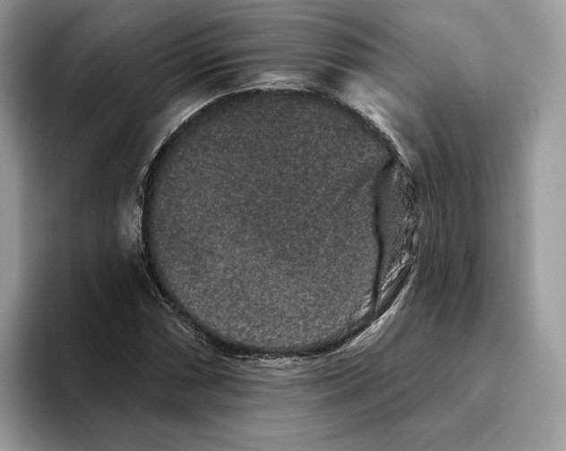 X0000093481066200711091622