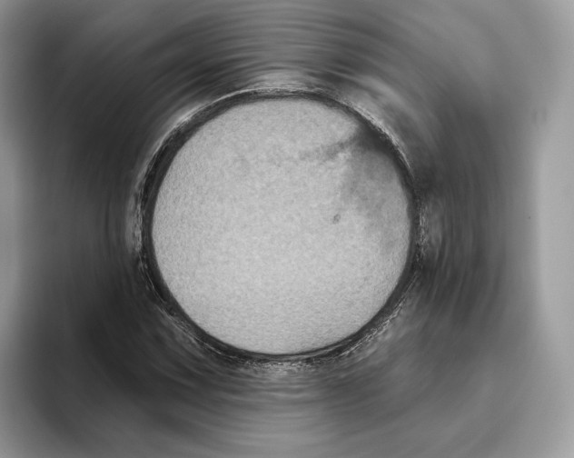 X0000093481067200711091622