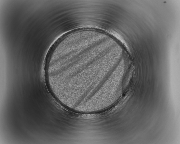 X0000093481068200711091622