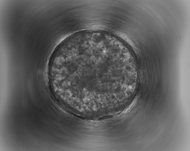 X0000093481071200711091622