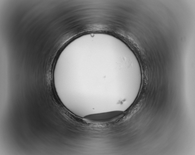 X0000093481073200711091622