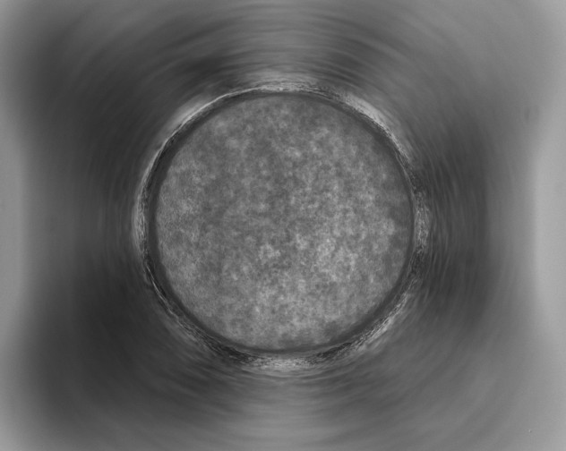 X0000093481074200711091622